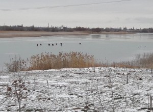 Первый лед на водоемах Волгодонска представляет опасность