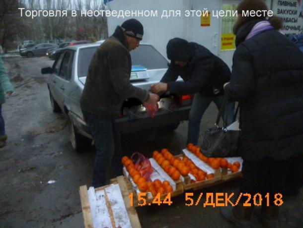 28 административных правонарушений за неделю выявила муниципальная инспекция Волгодонска